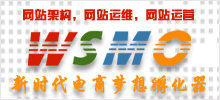 WSMO網(wǎng)站服務